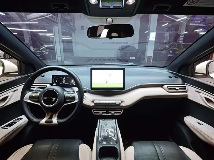BYD seagull