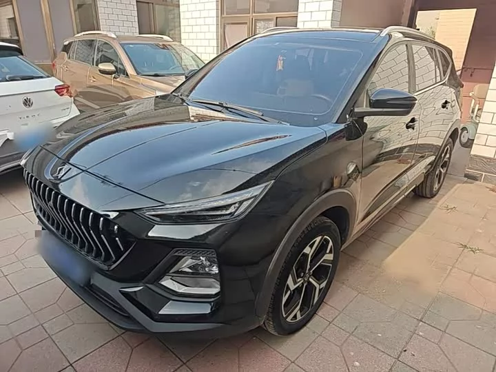 JAC (Sihao) X8