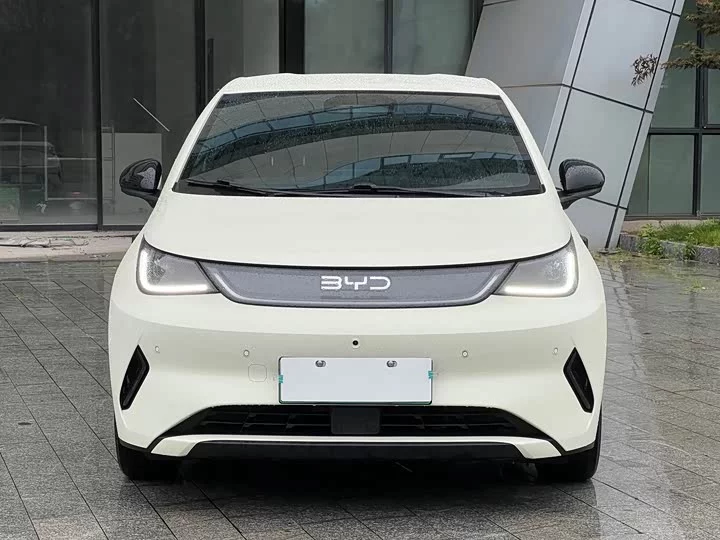 BYD dolphin