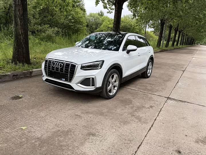 Audi Q2L