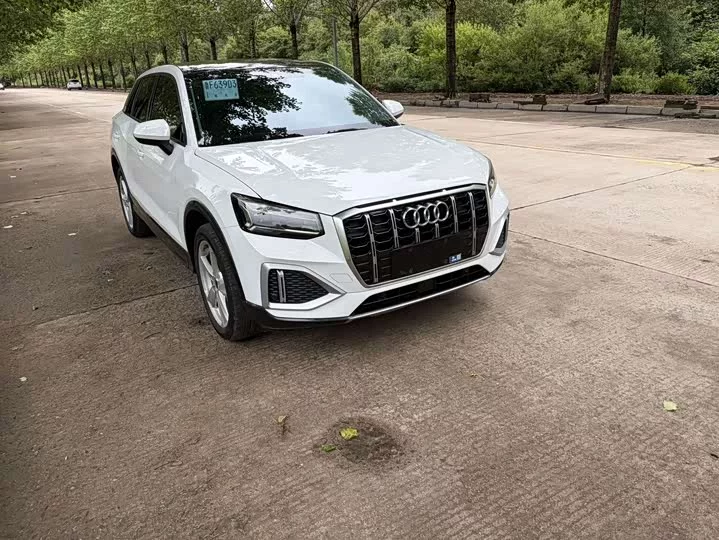 Audi Q2L