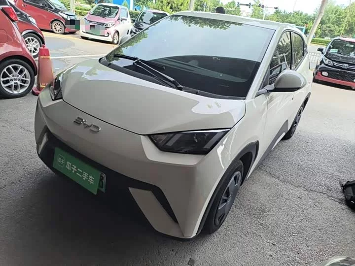 BYD seagull