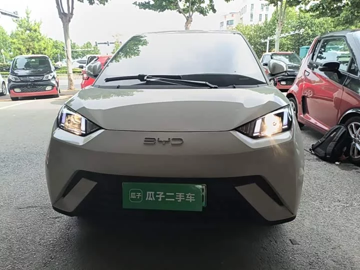 BYD seagull