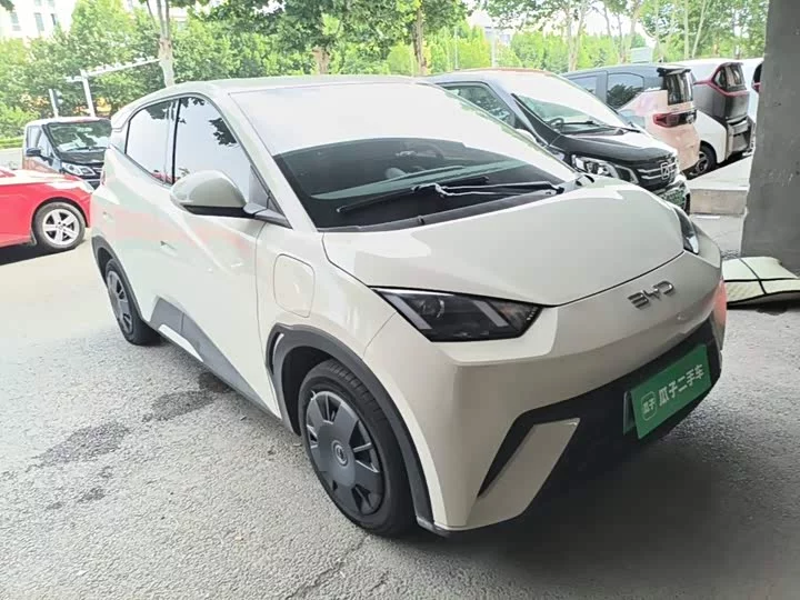 BYD seagull