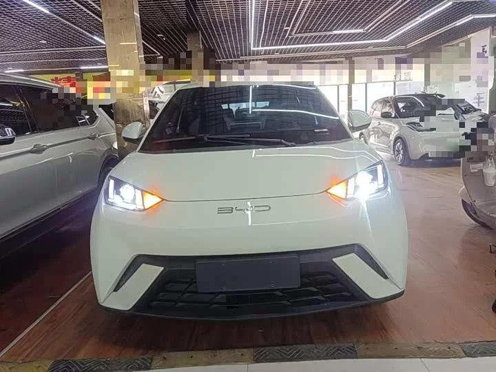 BYD seagull