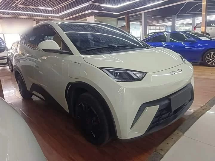 BYD seagull