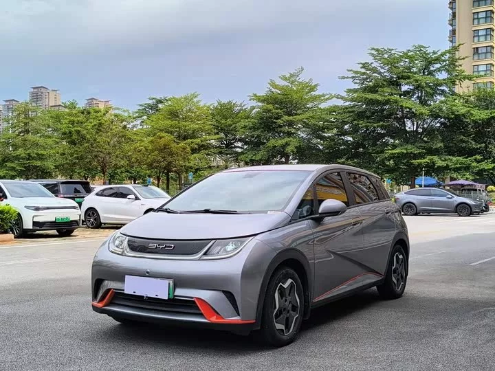BYD dolphin