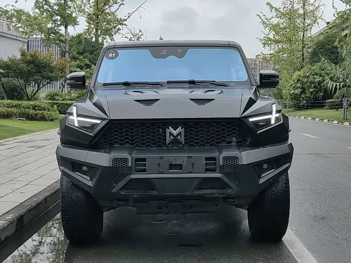 Mengshi 917