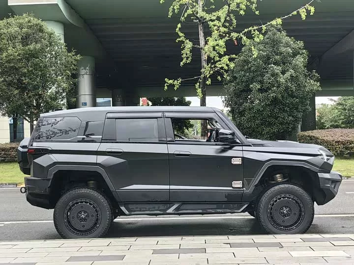 Mengshi 917