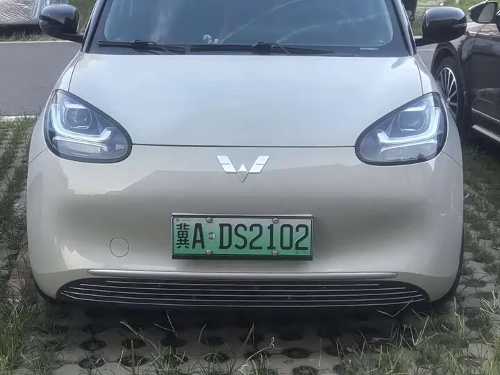 Wuling Bingo