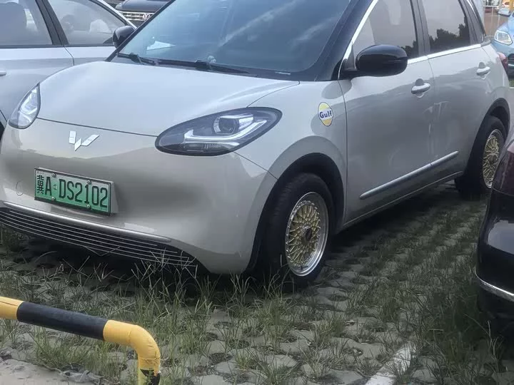 Wuling Bingo