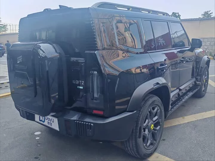 Jietu Shanhai Jetour Traveler C-DM