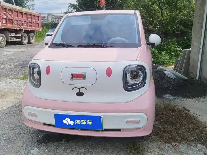 FAW pony
