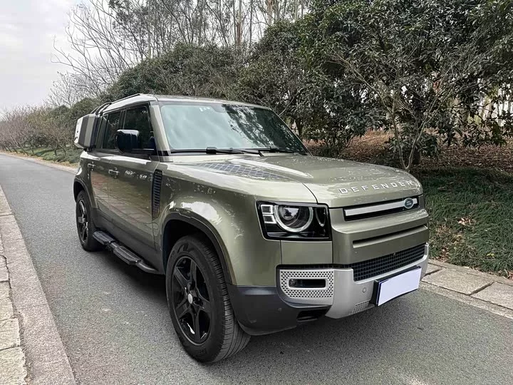 Land Rover guard