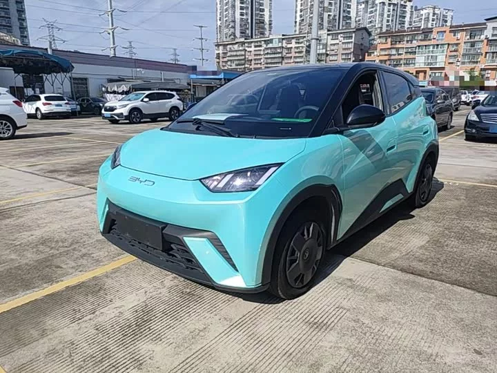 BYD seagull