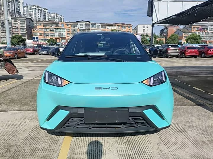 BYD seagull