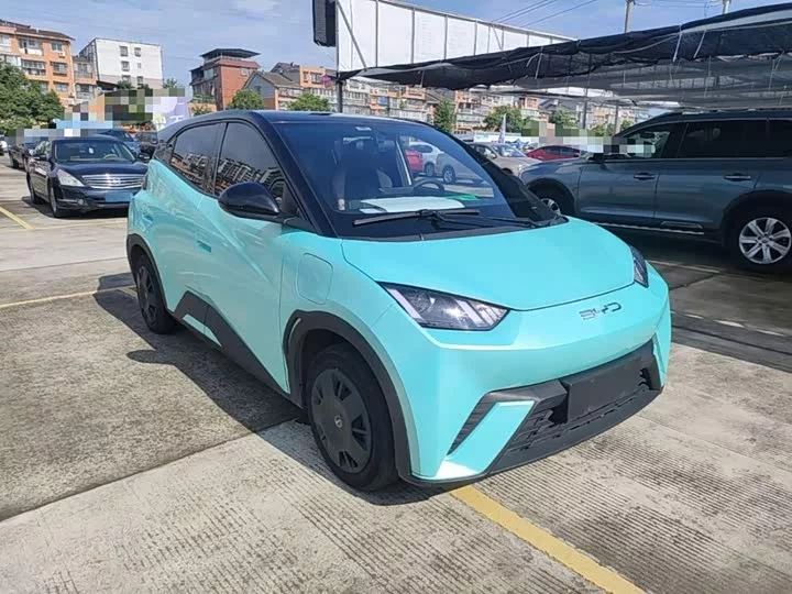 BYD seagull