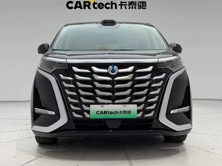 Denza D9