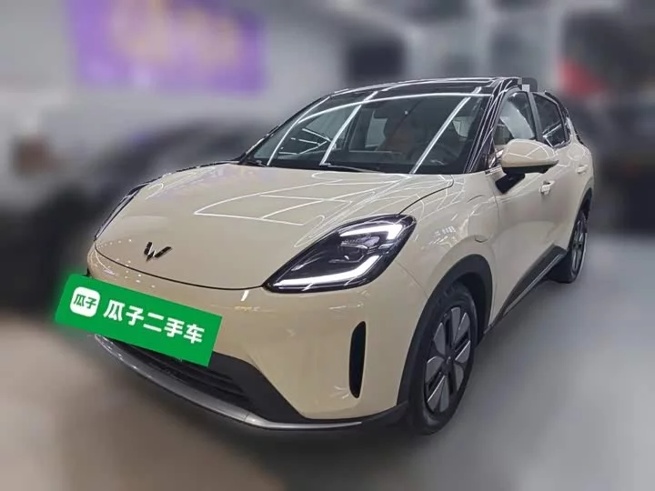 Wuling Bingo S