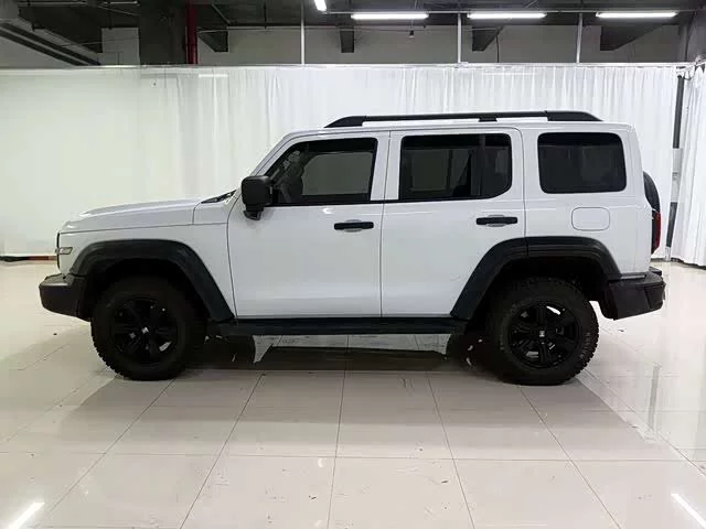 tank 300
