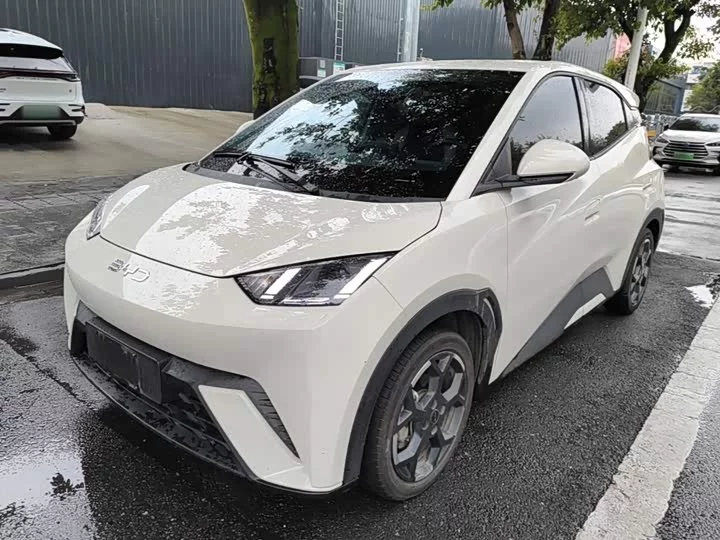 BYD seagull