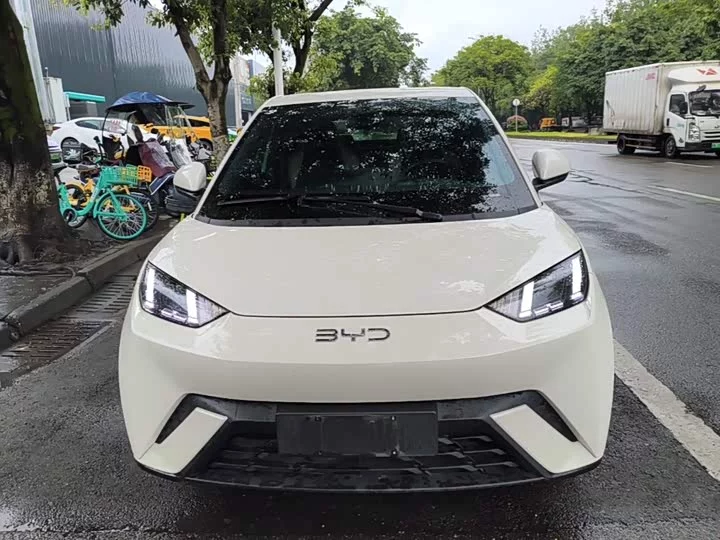 BYD seagull