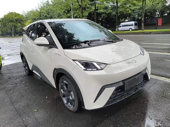 BYD seagull