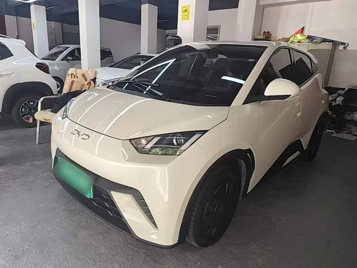 BYD seagull