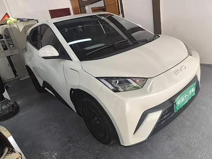 BYD seagull