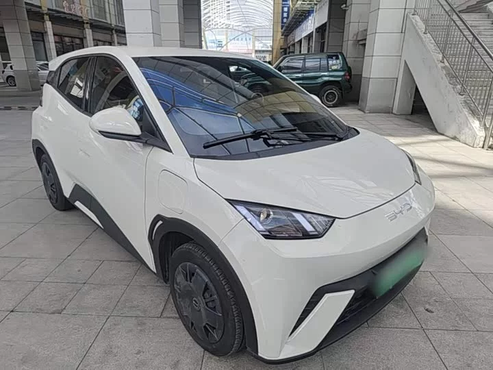 BYD seagull