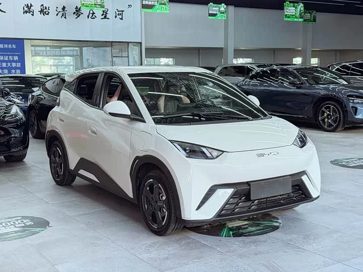 BYD seagull