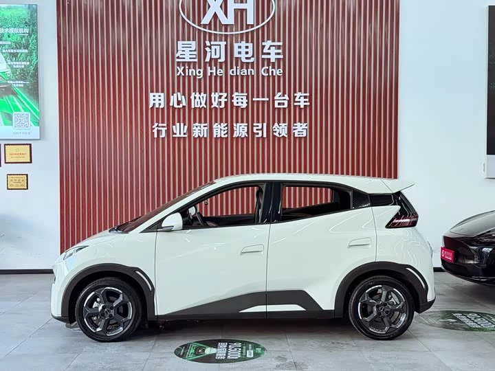 BYD seagull