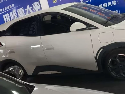 BYD seagull