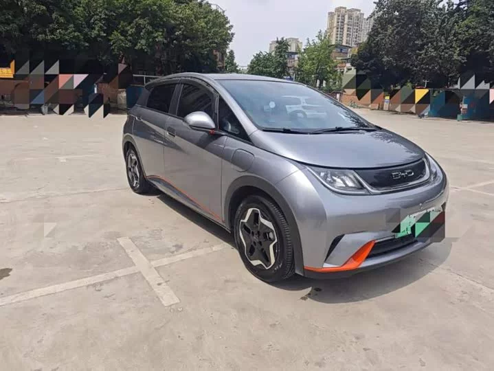 BYD dolphin