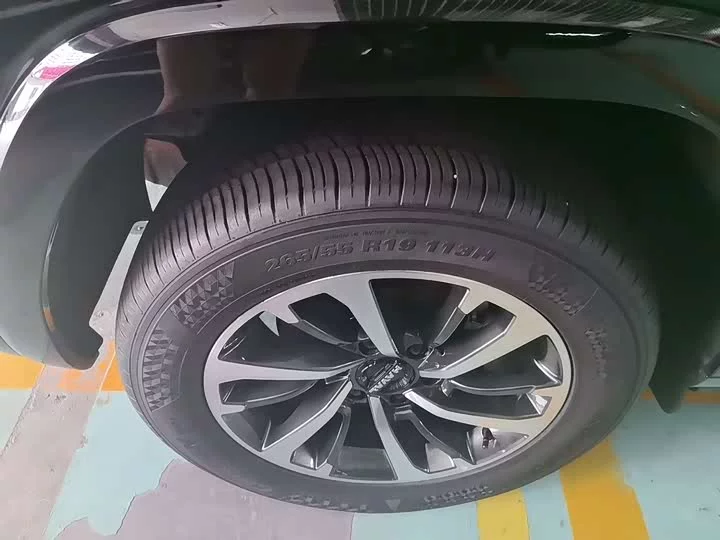 Haval H9