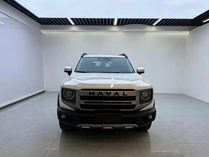 Haval Big Dog DaGou