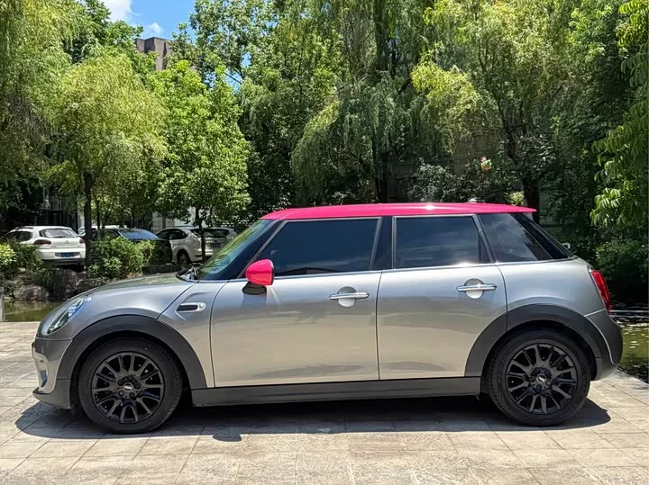MINI 