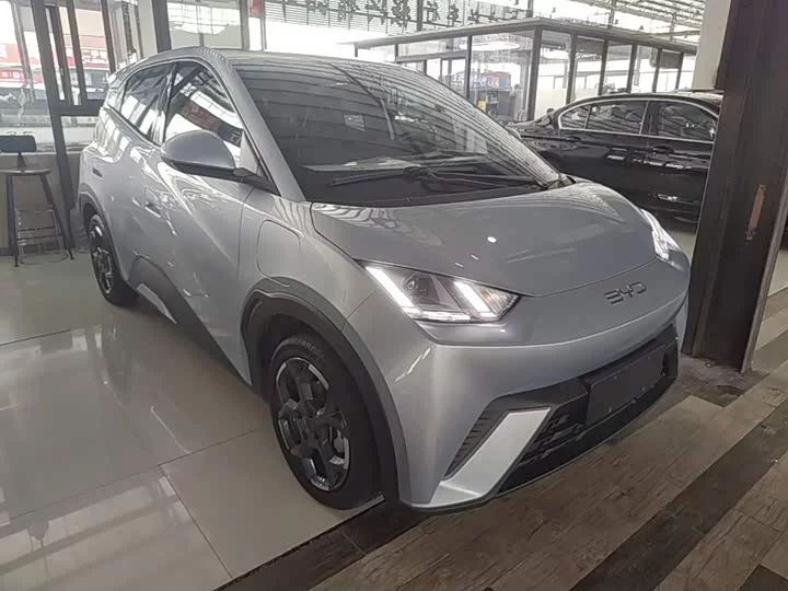 BYD seagull