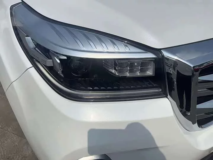 Haval H9