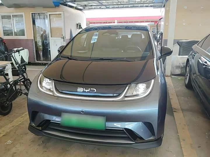 BYD dolphin