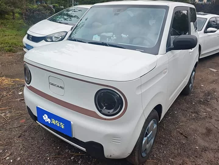 Geely panda