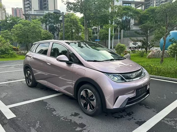 BYD dolphin