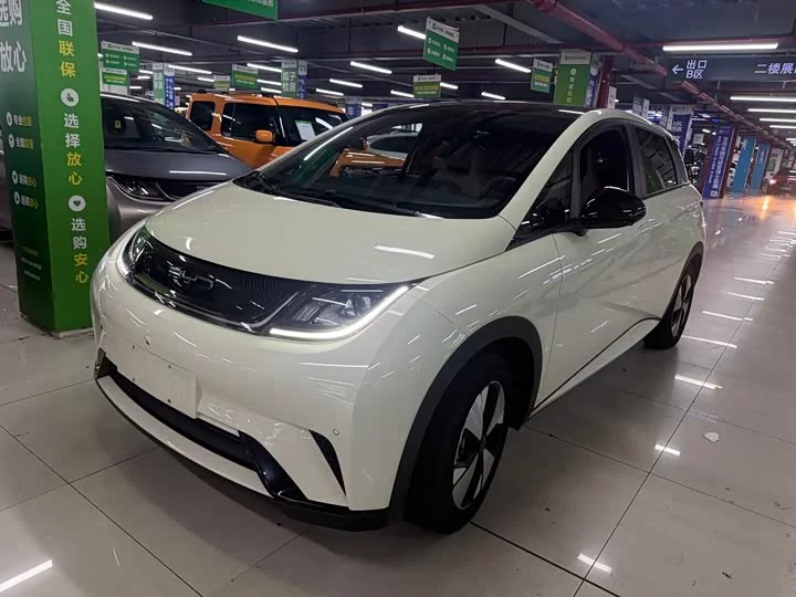 BYD dolphin