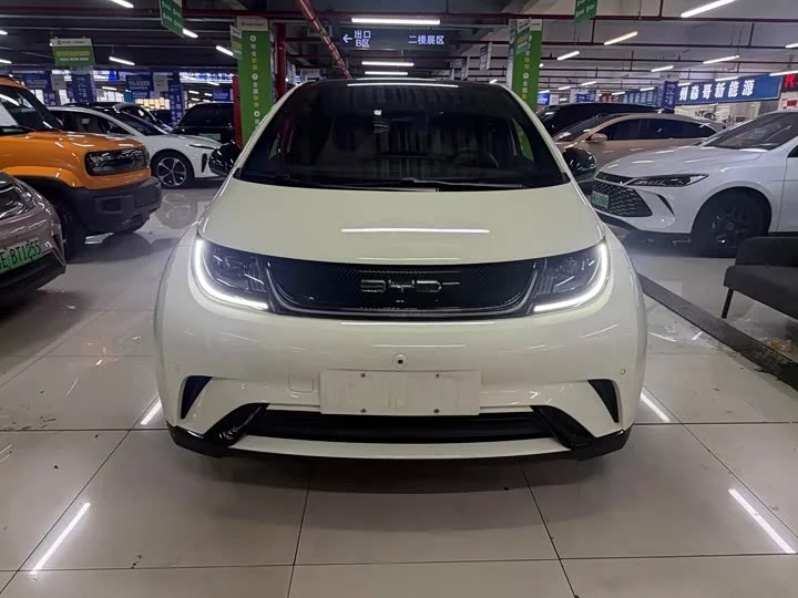BYD dolphin