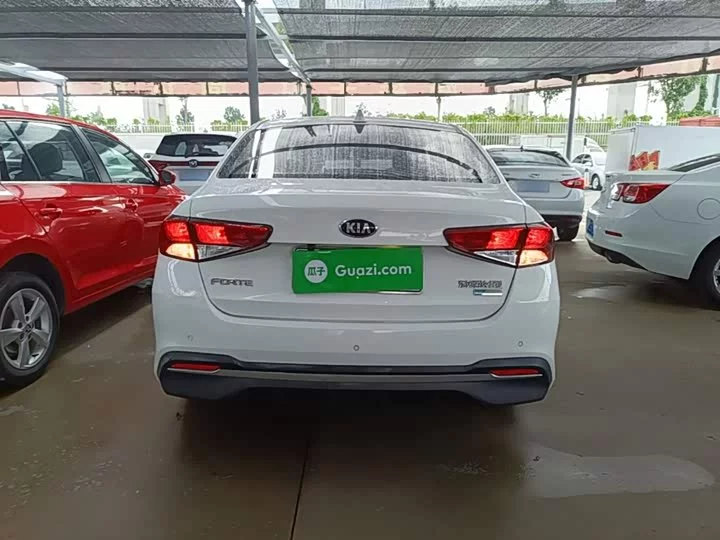 kia Freddie