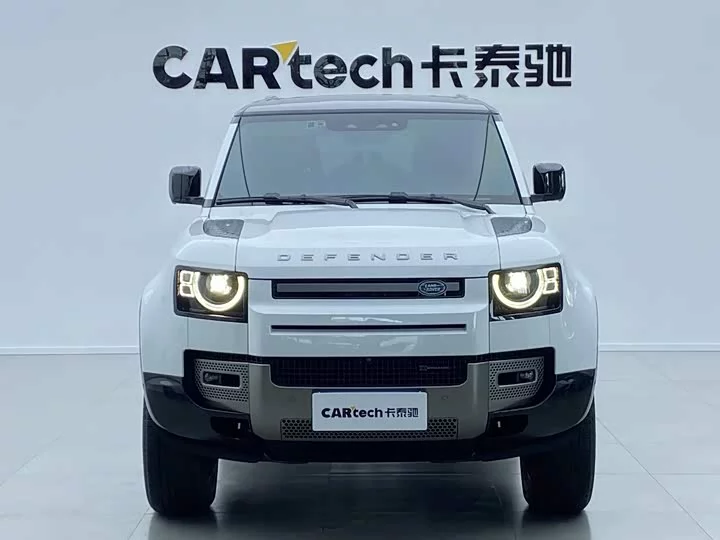 Land Rover guard