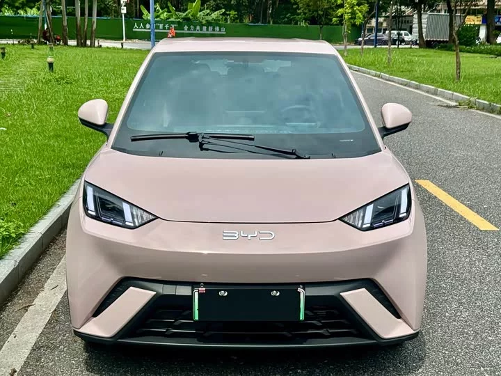 BYD seagull