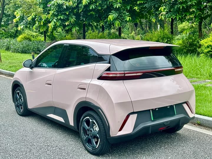 BYD seagull