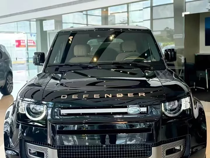 Land Rover guard