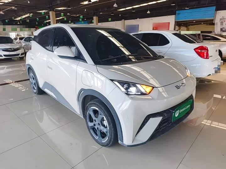 BYD seagull